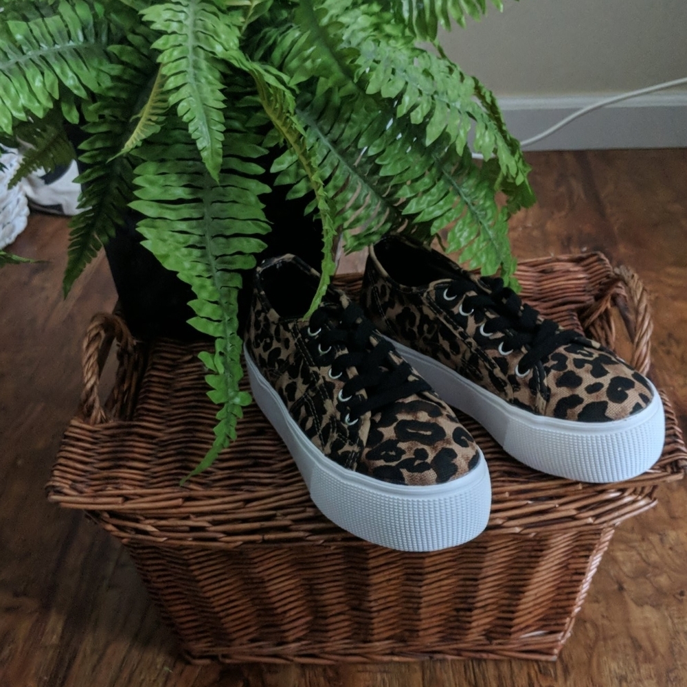Steve Madden Emmi Platform Sneaker | Cheetah 🐆